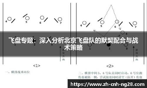 飞盘专题：深入分析北京飞盘队的默契配合与战术策略